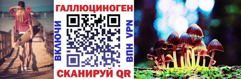 Псилоцибиновые грибы GOLDEN TEACHER Элиста